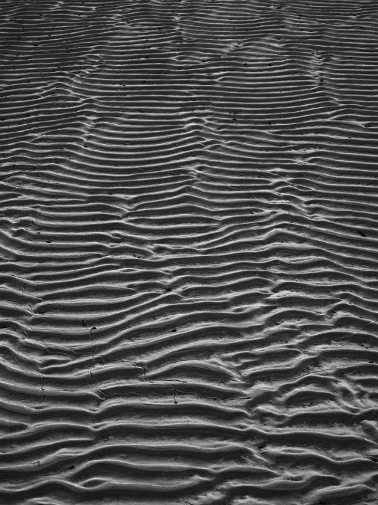 Sand at low tide